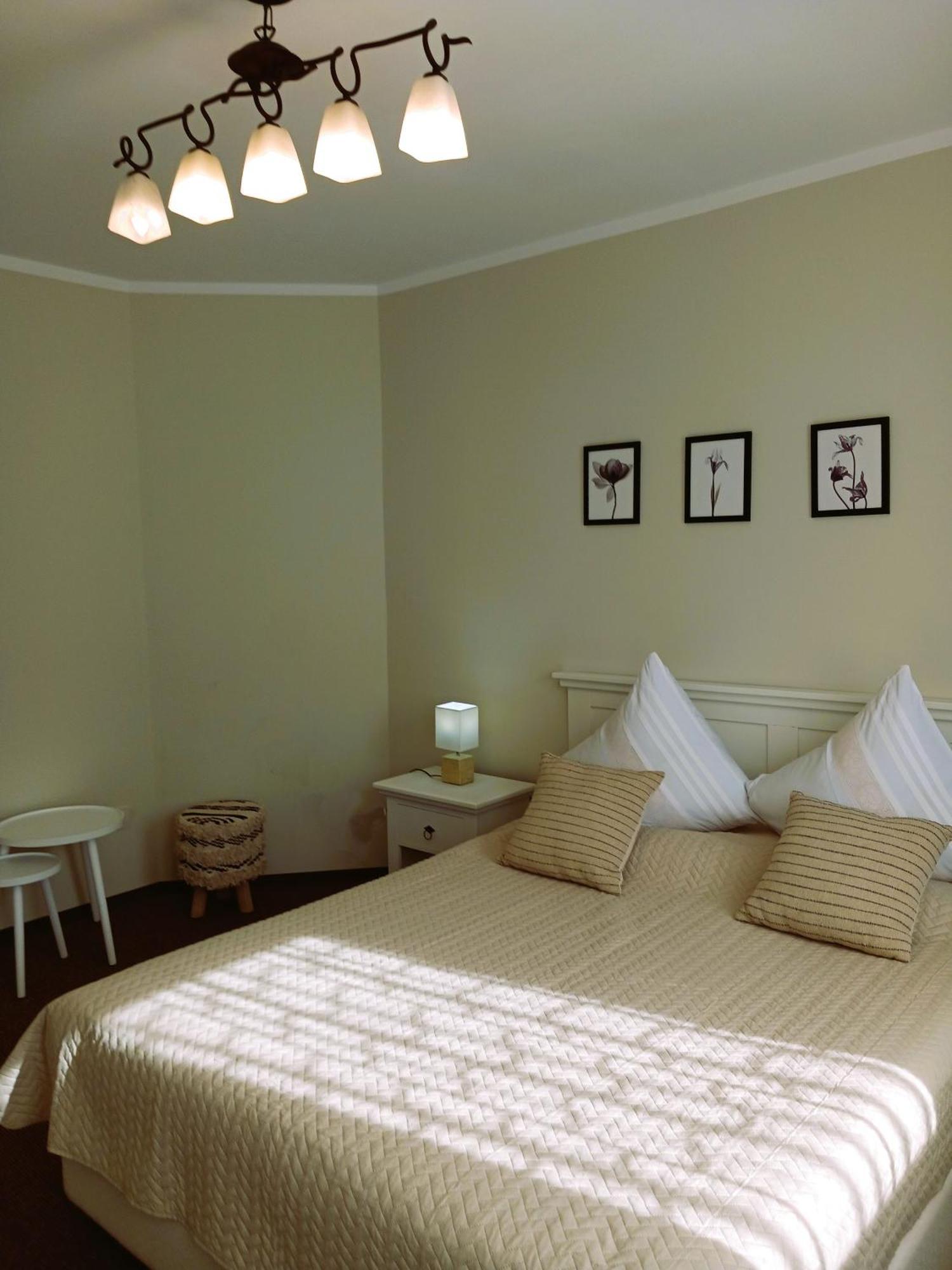 Casa Calin Hotel Вама Екстериор снимка